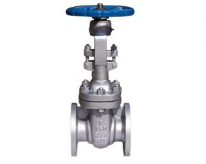 Gate Valve, Oil and Gas Parts Supplier